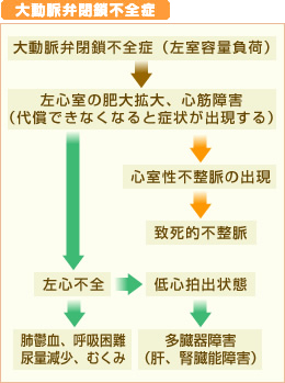 大動脈弁閉鎖不全症